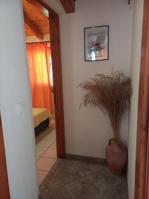 Δίχωρο Στούντιο Στον Κέντρο Του Αρμενιστή Apartamento Armenistis  Exterior foto